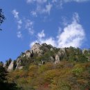 (주)서라벌관광