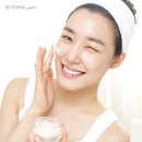 아쿠아티파니