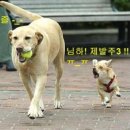 ㅋㅋ