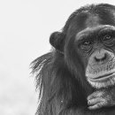 한마음정육식당 서현점 이미지