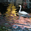 2011스케치 이미지