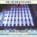 Pet shop 헤어 Queen | 가오슝 로얄 그룹 호텔 밍 후아 브랜치 후기: 가오슝 호텔 추천