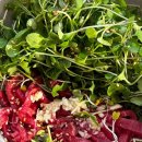 용덕산장 | 용인 | 뜨락 : 처인구 영양솥밥이 맛있는 용덕저수지 맛집