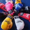 브리드 복싱GYM 이미지