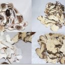 경희메트로한의원 이미지