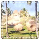 (주)이영바이오 | 쿼인 파머슈티컬스(QNRX) 주가 전망 2026, FDA 패스트 트랙 이후 투자 포인트 정리