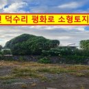 서귀포하나로공인중개사사무소 이미지