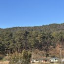 산자락 | 제천 데이트 코스 숲속 힐링카페 산자락 방문후기 내돈내산