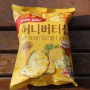 허니스터디
