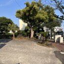 중문동-4 이미지