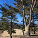 늘,파인 이미지