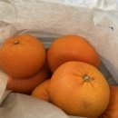 더화이트뷰(The white view) | 뉴질랜드 11박 12일 신혼여행 Day3 _ 블랙 앤 화이트 카페, Fairlie Bakehouse, 테카포호수, 테카포숙소...