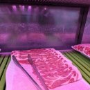 황금조개 튼튼장어 이미지