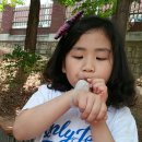 수곡초교 병설유치원 이미지