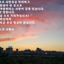 청빈 Daum카페