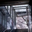 고집(Go집) | Go 집을 고집