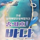 [고성 죽도] 바다 위 다리 건너 섬으로! 🎋 바다하늘길 죽도 이색 체험 후기