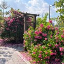 베말공원 이미지