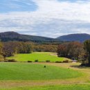 (주)타미우스골프앤빌리지 이미지
