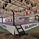 참피온 복싱클럽 이미지