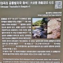 울주 대곡리 반구대 암각화 | 울주 대곡리 반구대 암각화에 담긴 신석기인의 혼과 예술