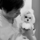 포레스트동물병원 이미지