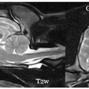 동탄24시동물의료센터 이미지