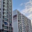 영산로 609번길 이미지