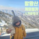 대인카프라자 | 모나용평리조트 발왕산 케이블카 스카이워크