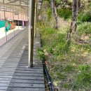 서울남정초등학교 이미지