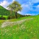 접촉예감 이미지