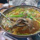 쌍둥이네미꾸라지탕 이미지