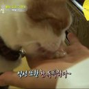 상귀농장 이미지