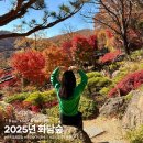 발이봉길 | 화담숲 실시간 모노레일 경기도 광주 곤지암 지금 가볼만한곳