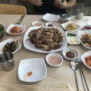 시골한방족발 | [블로그 리뷰] 정선 여행 필수 코스! 동광식당에서 맛본 인생 황기족발 후기 🍖✨