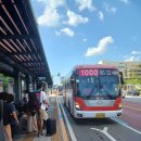 소만지구L 이미지