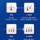 새튼튼약국 | 로게인폼 가격 효과 후기 사용법 부작용 총정리
