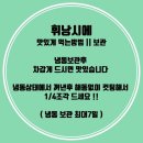 속초 마카오박 에그타르트, 휘낭시에 맛집 내돈내산 재방문 후기! 예약, 가격, 맛 추천까지