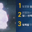 선정화