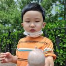 동탄푸른약국 이미지