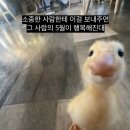 햇살한우
