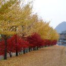 치악산 사슴농장 이미지