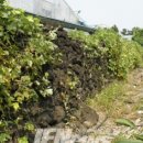 성마을농장 이미지