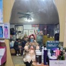 이미경헤어라인 이미지