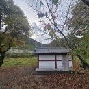 쌍용1리마을회관 이미지