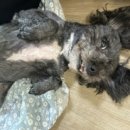 수원-0228 이미지