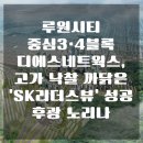 디에스네트웍스 이미지