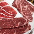 누리굼터 이미지