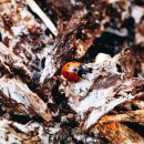 서울한복 이미지