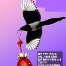 복수산 이미지